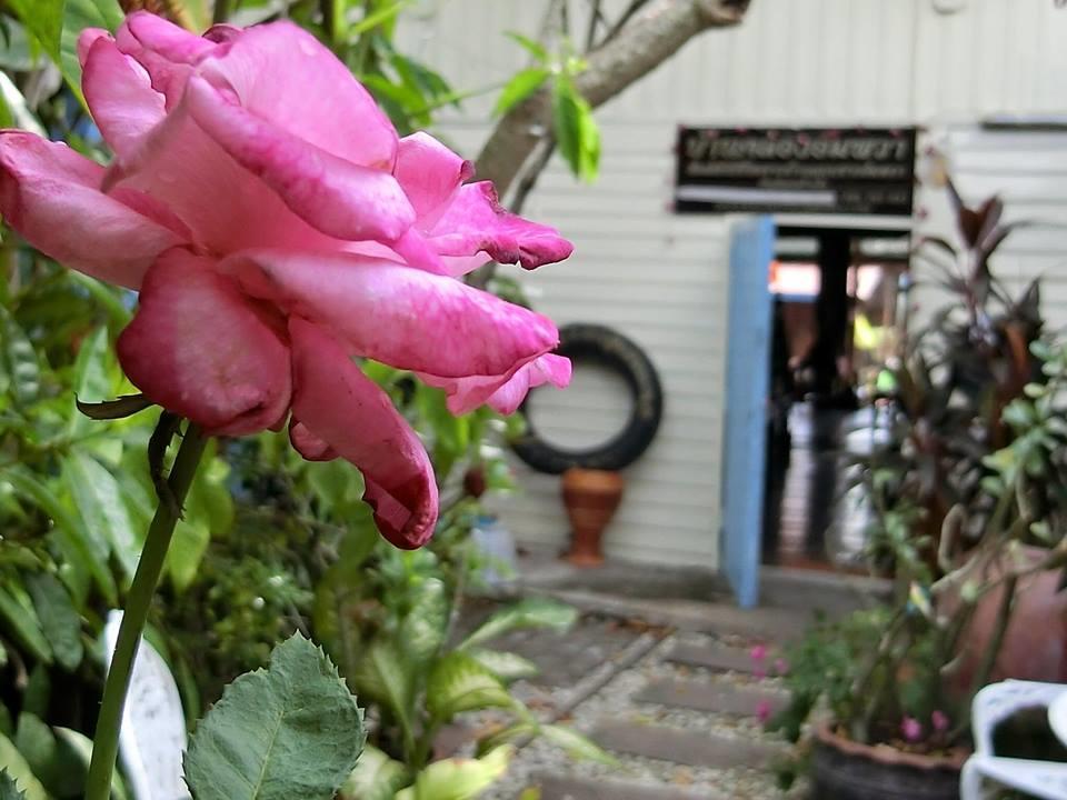 Baanklong Amphawa Homestay المظهر الخارجي الصورة